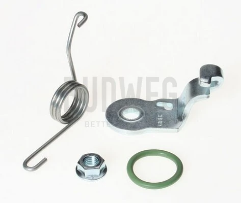 Repair Kit, parking brake lever (brake caliper)